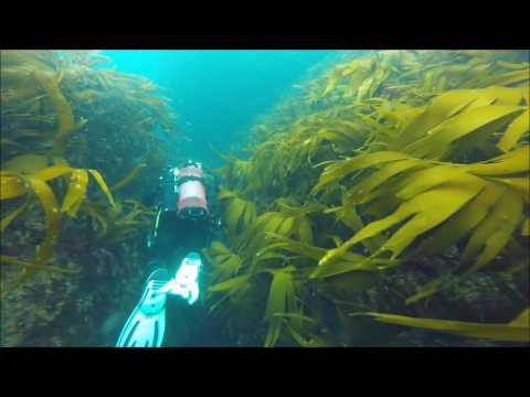 Haskeir Island Diving, Outer Hebrides