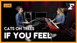 Cats On Trees - &quot;If You Feel&quot; dans la session Figaro Live Musique