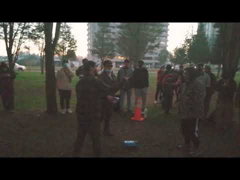 Treefreestyle 8vos mefisto 🆚 rocket