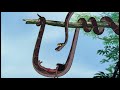 Songs From The Jungle Book And Other Jungle Favourites Trust In Me