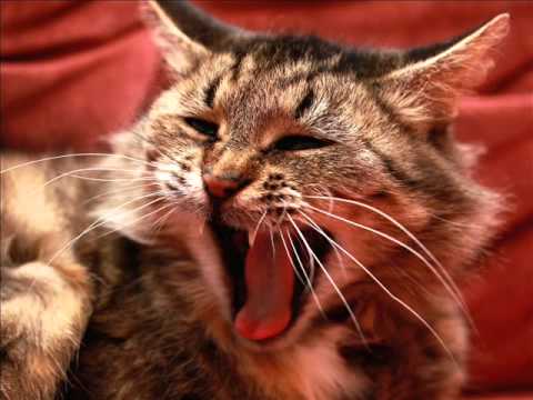 Nat Monday - Screaming Inside (Yatari Vocal Mix)