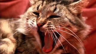 Nat Monday - Screaming Inside (Yatari Vocal Mix)