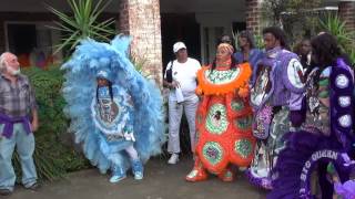 The Wild Magnolias at the Tribute for Big Chief "Bo" Dollis, March 19, 2014