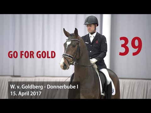 39 Go for Gold Wallach v. Goldberg - Donnerbube I