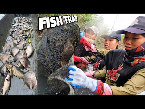 EP-348 P1 | Gango fish trap our first collaboration with katongganers vlog and Team KMA