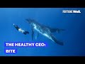 This CEO Dives With Whales to Decompress From Work | The Healthy CEO