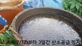 이장집 (203) 생선액비 만들기 1 -  3