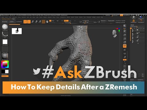 #AskZBrush - How to Maintain Sculpted Details Using Project History on a ZRemeshed Model?