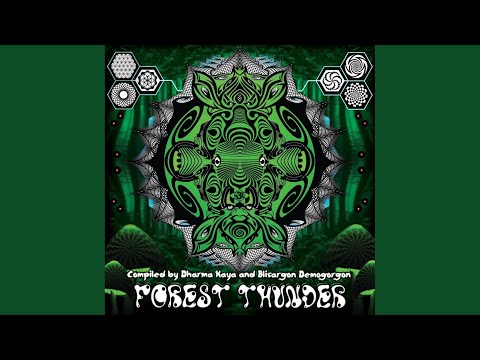 Polyphonic Salad (Original Mix)