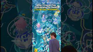 After I Found The Best Pokemon Go Coordinate/LocationL/Place in 2024