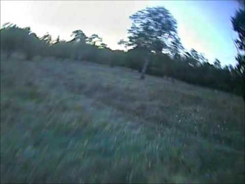 Shrieker | Broken but spinning