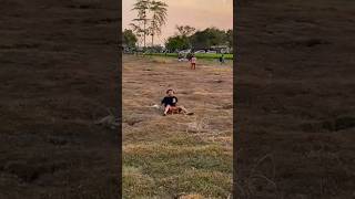 Download lagu little jockey gapangan, broken rope mp3