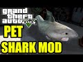 Pet Shark 5