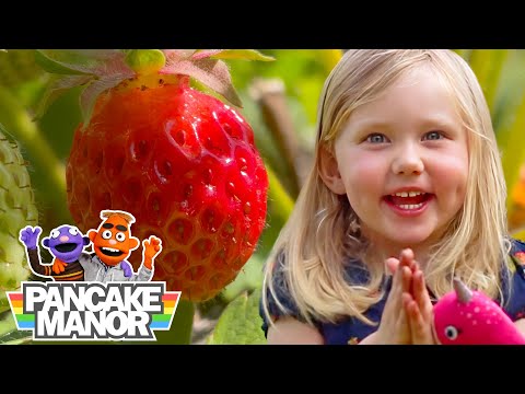 Strawberries! 🍓 Educational Video for Kids and Toddlers