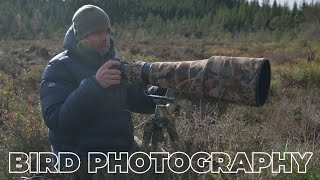 Mastering BIRD PHOTOGRAPHY // Capturing the Majestic Sparrowhawk in Action!