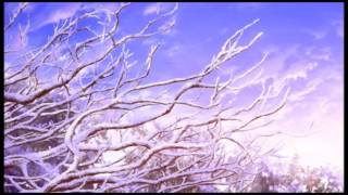 YUUKON - WHITE SUZUKI