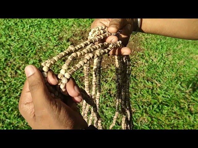 Dev Vishnu Balaji Vithal Bhagwan  Sacred Akandha Shri Tulsi Wood Shringar Mala for God and Goddess video
