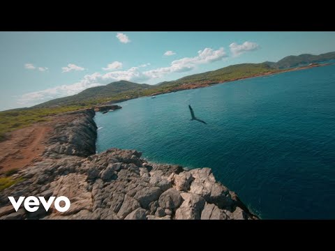Pete Tong, Kölsch - When We Move (Visualiser) ft. Elderbrook, Jules Buckley