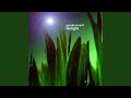 Bahia (Kyoto Jazz Massive D & B Mix Relight Edit)