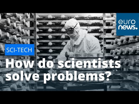 The Scientific Method: How scientists solve problems