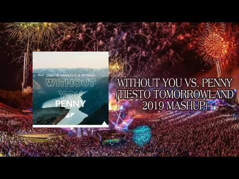 [Tiesto Tomorrowland 2019 Mashup] Without You vs. Penny (DJ Bau Remake)'