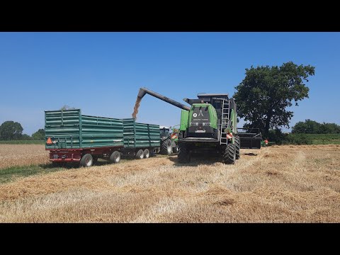 ♤ Deutz Fahr 6060 hts ~ Žetva pšenice 2022 ~ Wheat harvest ♤