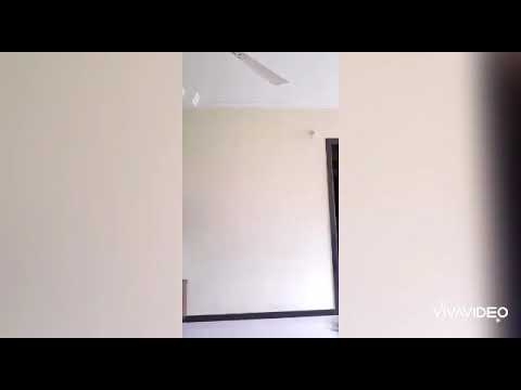 Quarantine birthday wishes ideas...