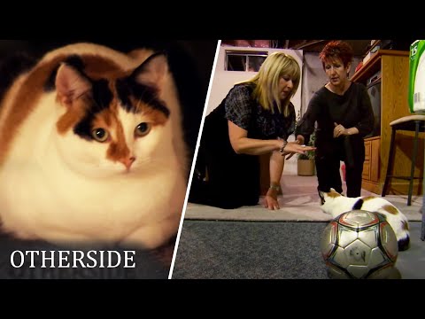 Unlikely Friend Helps Find Lost Spirit | Rescue Mediums | Otherside