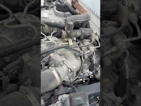 2023 Isuzu NPR Box Truck  - Video