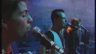 ALMA DE BLUES - PRESUNTOS IMPLICADOS