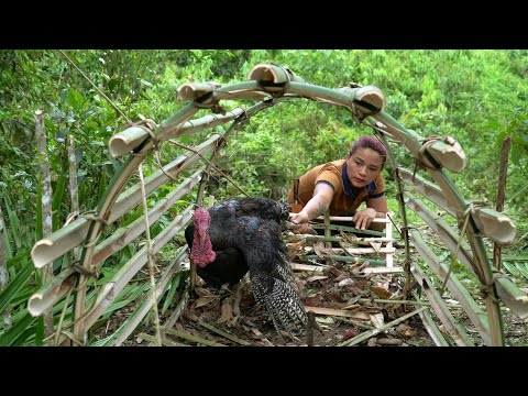 Survival In The Forest. Detect turkey tracks, create rudimentary turkey traps, Solo Survival