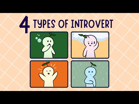 The 4 Types of Introvert - Which introvert personality are you?