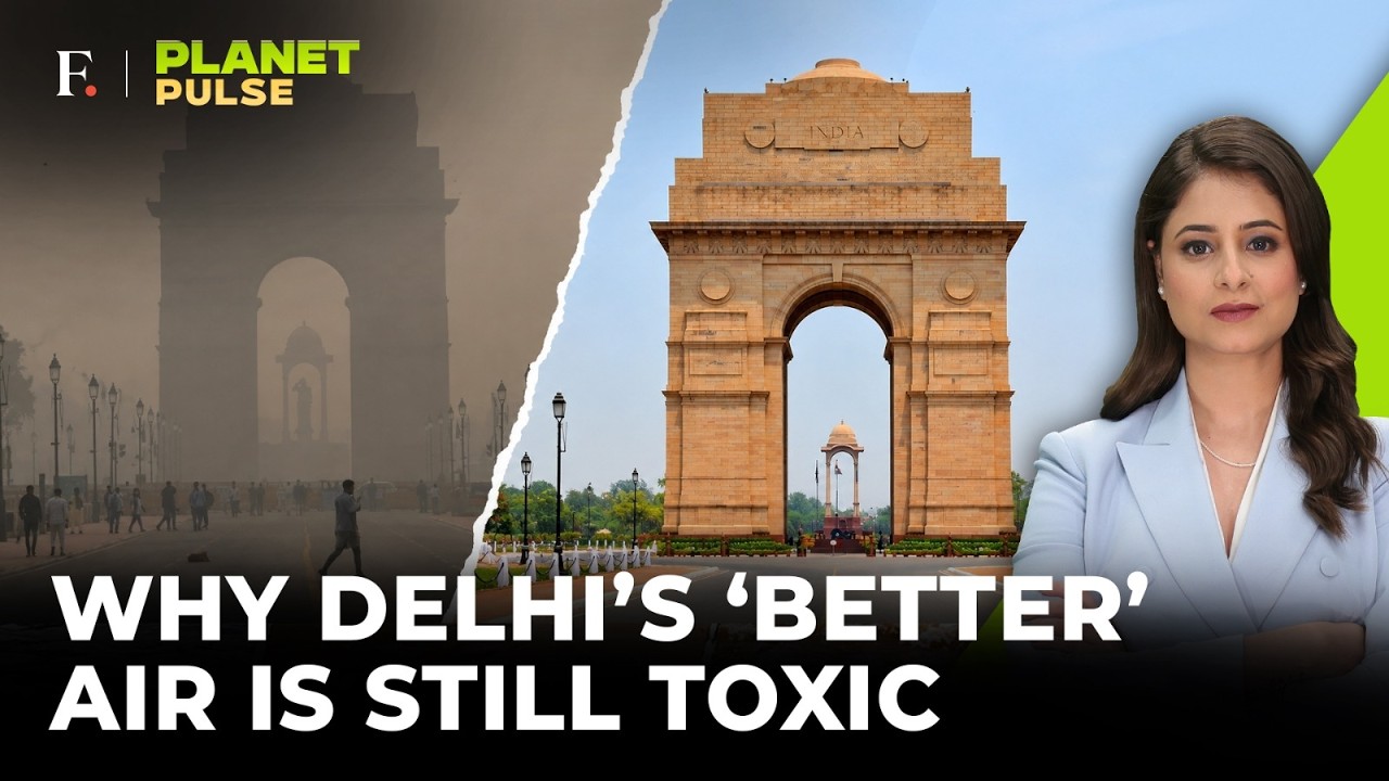 Delhi's October Pollution Drops to a Multi-Year Low | A Rare Win Against Pollution? | Planet Pulse