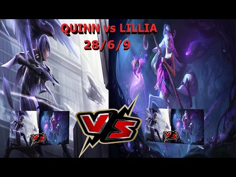 QUINN vs LILLIA