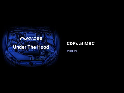 Customer Data Platforms at The Modern Retailing Conference 2022