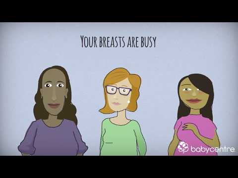 7 ways your breasts change during pregnancy