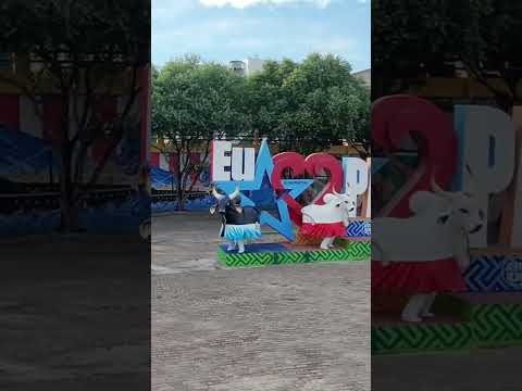 Passeio na entrada de Parintins - AM