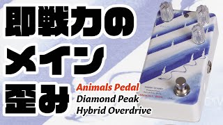 Video thumbnail for アニマルズペダル Diamond Peak Hybrid Over【即戦力の歪みペダル】ヤング・ギター製品レビュー by youngguitarmagazine