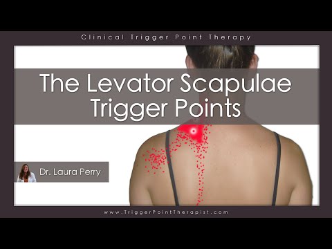 The Levator Scapulae Trigger Points