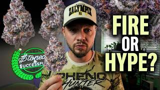 Top Cannabis Strains This Year | Overhyped or Legit