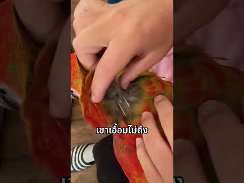 ความลับใต้ขนนก สิ่งนี้คืออะไรทำไมต้องแกะ?