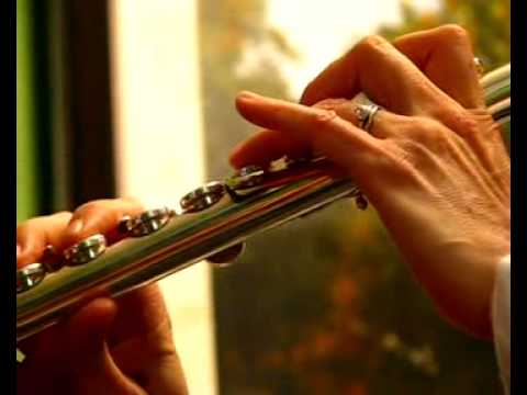 Miyazawa 101 Used Flute - Low to High Register - Demo