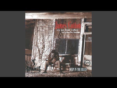 Play With Your Poodle