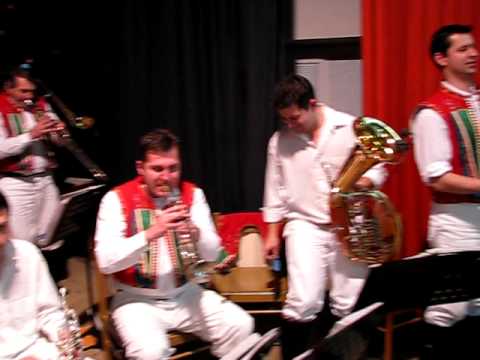 Dambořanka šenkýřka