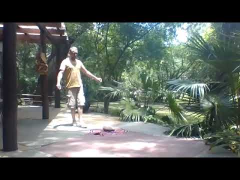 OMRIM YESHNA ERETZ, Danza Circular