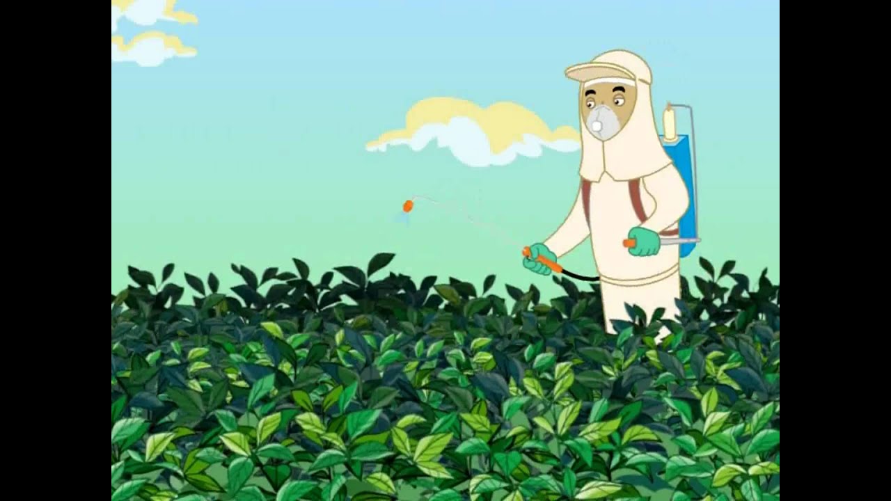 |Curiosidades| ANDEF - Uso correto e seguro de defensivos agrícolas.