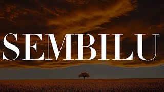 Download lagu Ella - Sembilu (Lirik) Wings, Exist mp3