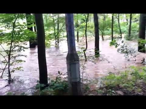 Dłubnia - ścieżka Iwanowice-Poskwitów 2013-06-24