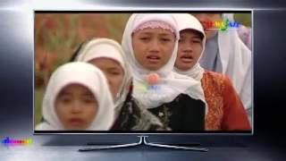 Download lagu Ya Wazir Up anas nasrulloh WWW GURIHLAGU COY Hj Wafiq Azizah mp3