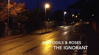 Daffodils &amp; Roses - The Ignorant
